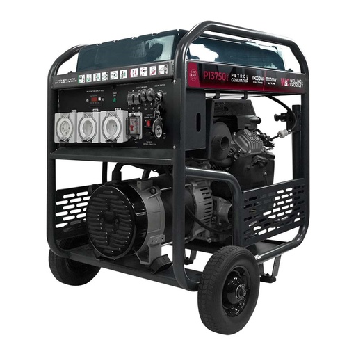 [160-WC-P13750RCD] WC-P13750RCD Welling & Crossley 13.75 kVA (11 000W) Open Frame AVR Petrol Generator E-Start & RCD